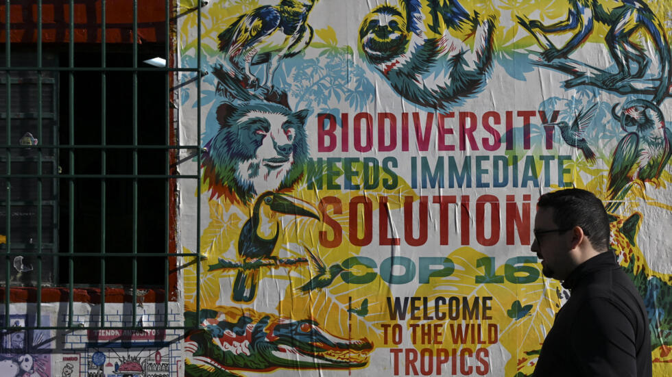 Cali, na Colômbia, se prepara para receber a COP 16 da Biodiversidade, a partir de 21 de outubro de 2024.