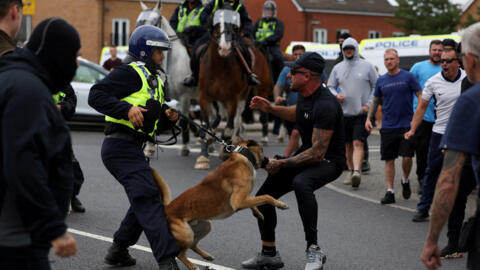 Policial britânico usa seu cão de guarda para enfrentar manifestante de extrema direita em Rotherham, no Reino Unido.