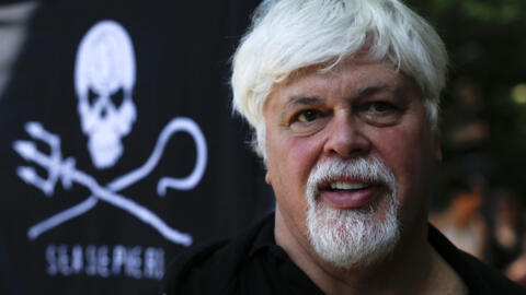 O ativista ambiental Paul Watson foi preso pela polícia da Groenlândia em 21 de julho, com um mandado de prisão internacional emitido pelo Japão.