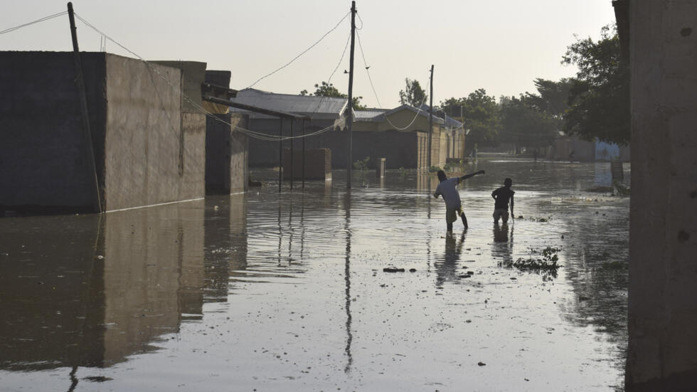 Ilameeji nder Kuseri to soɓɓiire Kamerun. Natal 19 lewru 10ɓuru 2022. [Natal yeru]