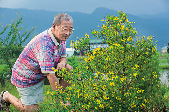 林向愷