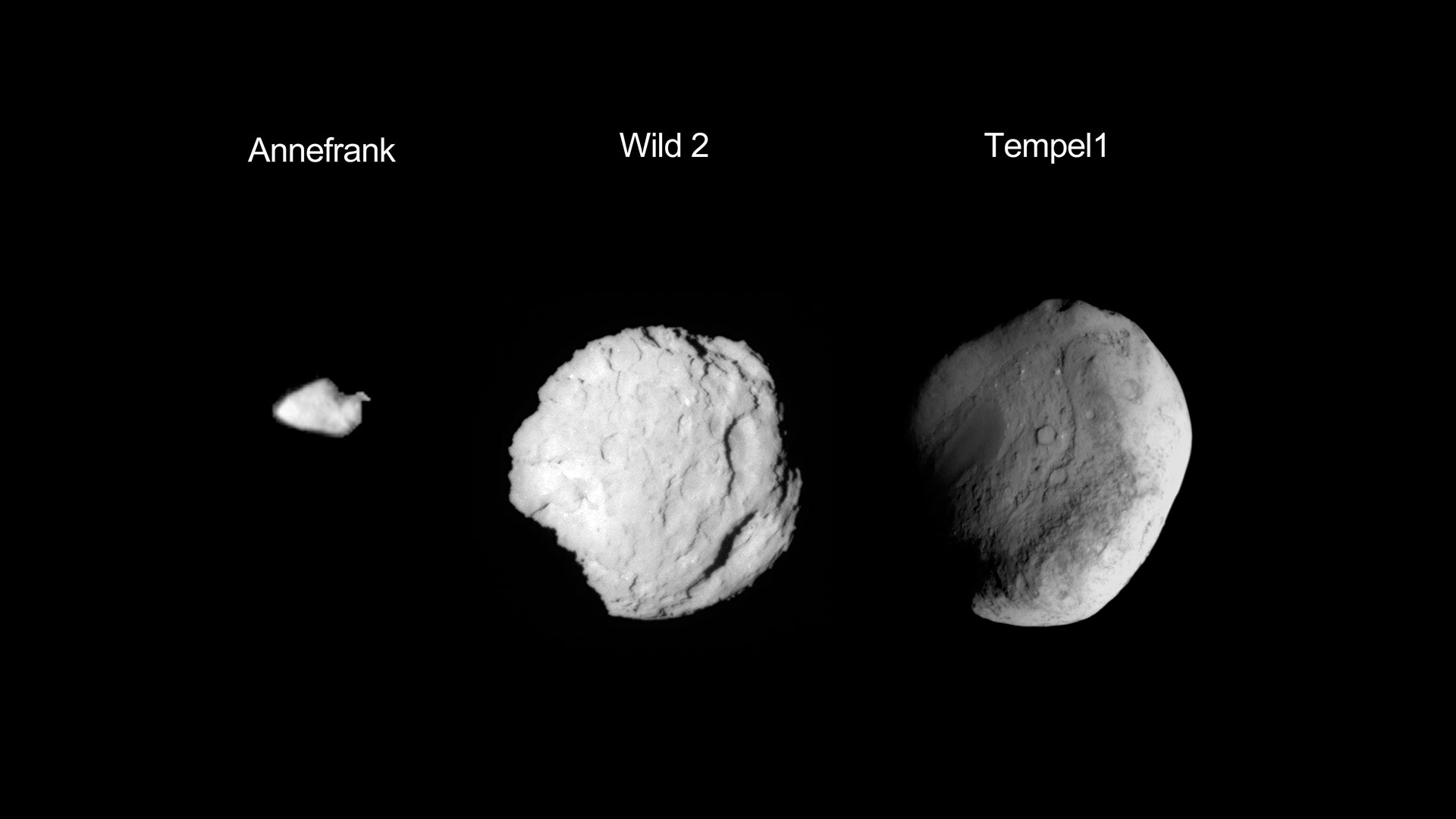 A composite image of the three worlds visited by NASA's Stardust spacecraft: an asteroid and two comets.