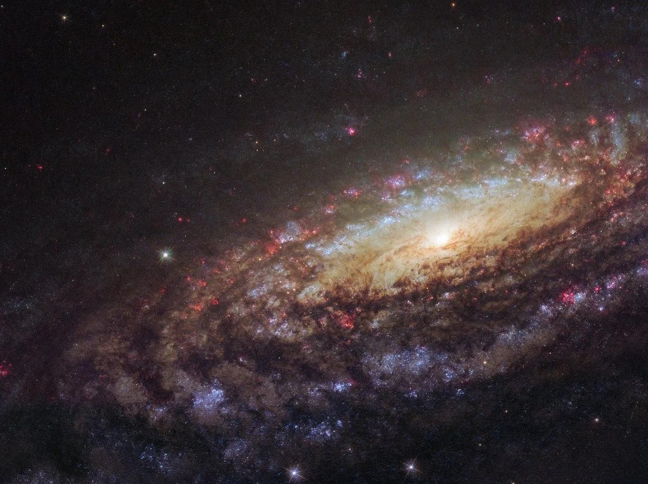 45 degree angle view of a spiral galaxy. Lots of dark purple and blue dust and gas orbits the bright yellow center.