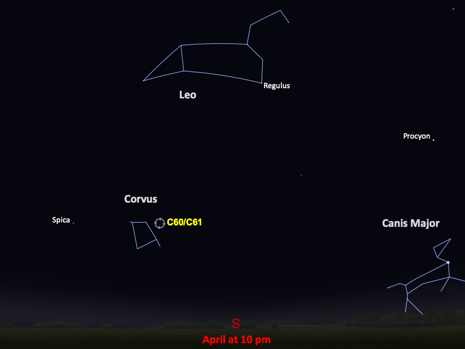 A star chart shows C60 and C61 as seen from the Northern Hemisphere in the southern night sky in mid April at 10pm.