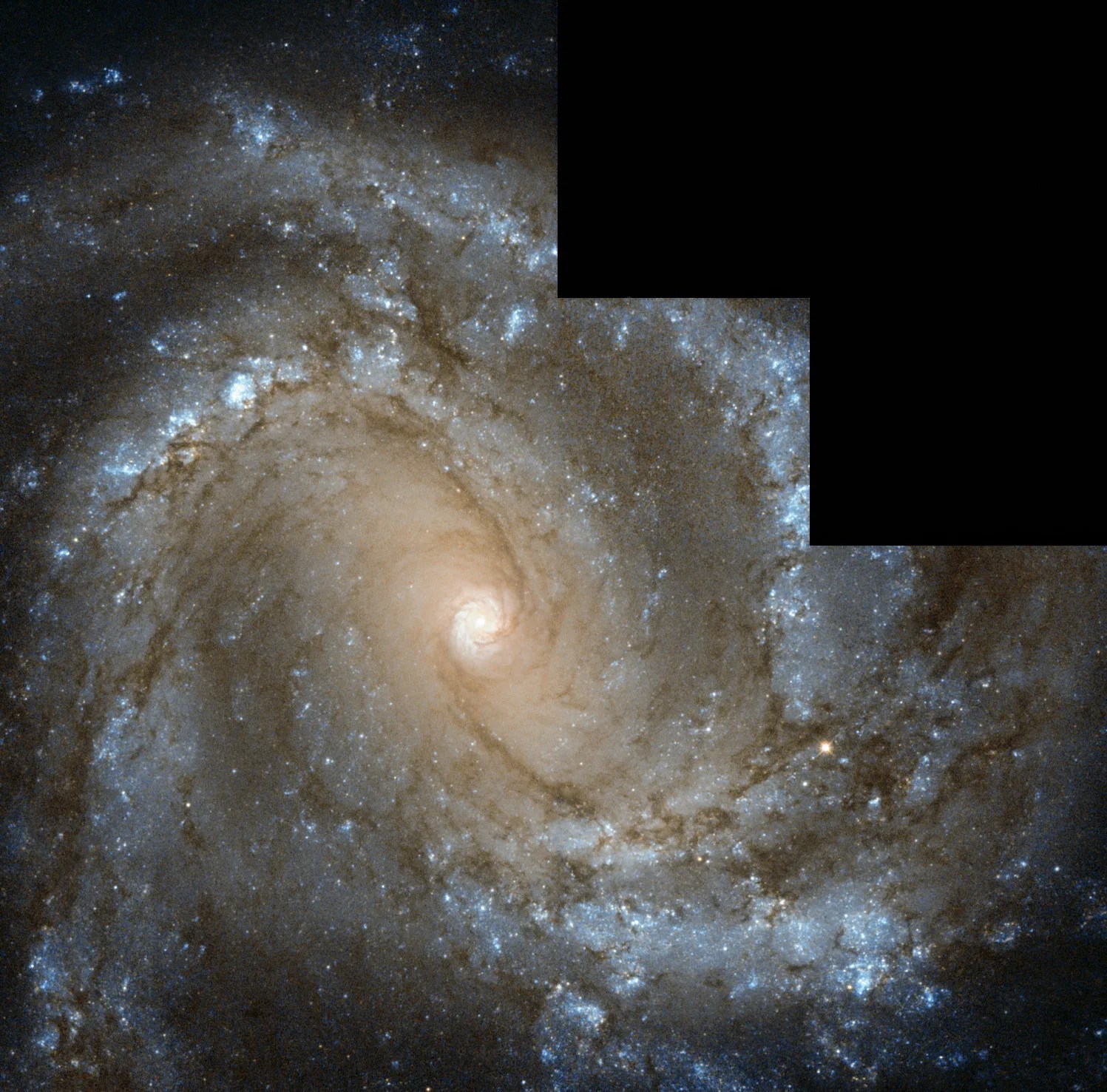 Spiral galaxy seen from above. Bright central core is white due to the light from so many stars, on the outer edge of the galaxy the arms spread out, with light blue and purple dust and gas, peppered with stars.