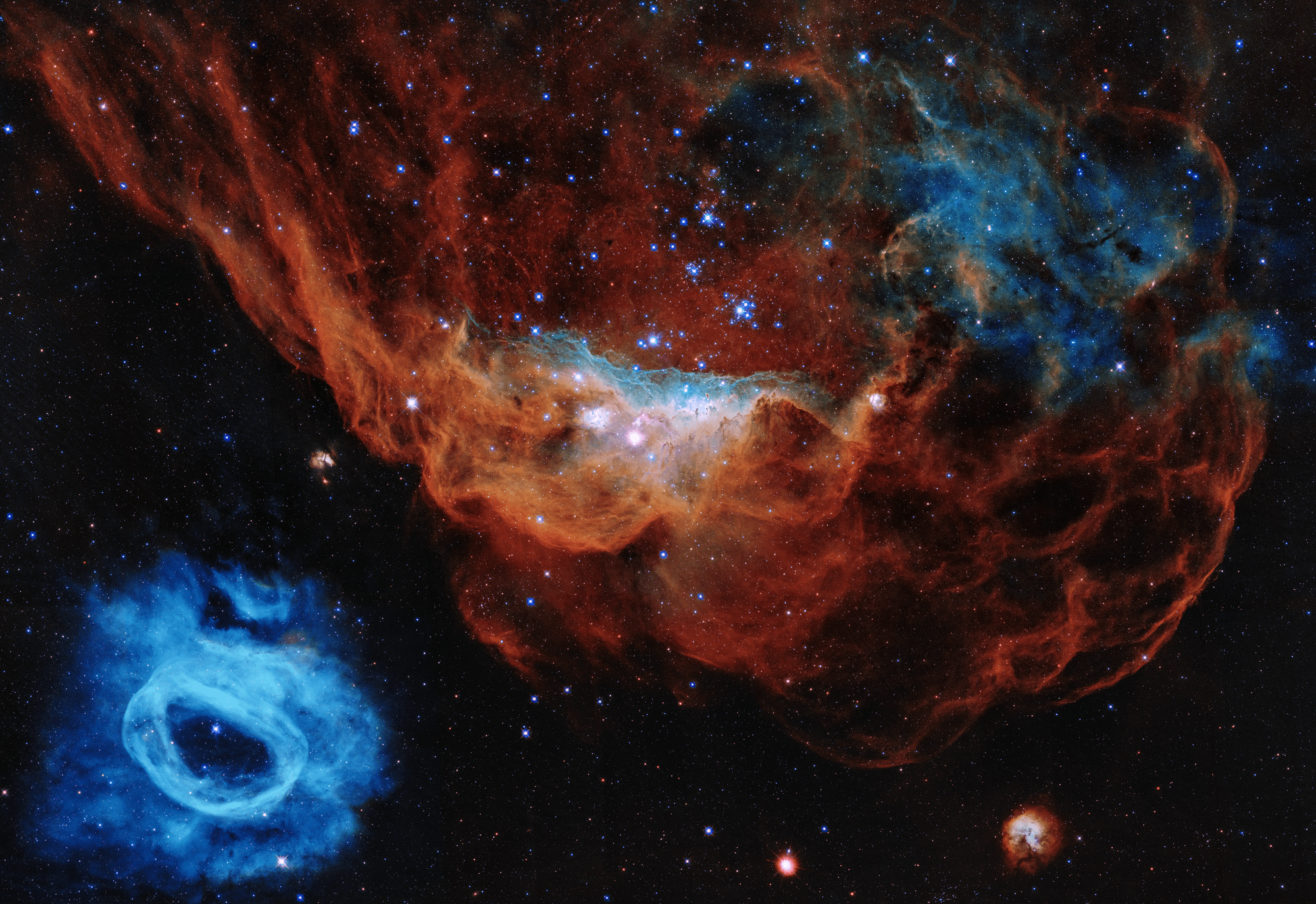 Hubble image of giant red nebula and smaller blue neighbor nebula (NGC 2014 and NGC 2020)