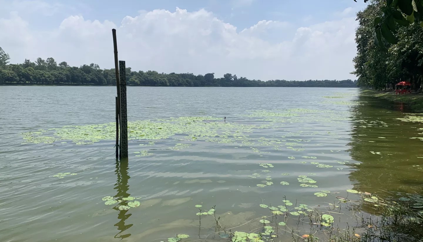 Photo of a gauge in a lake.