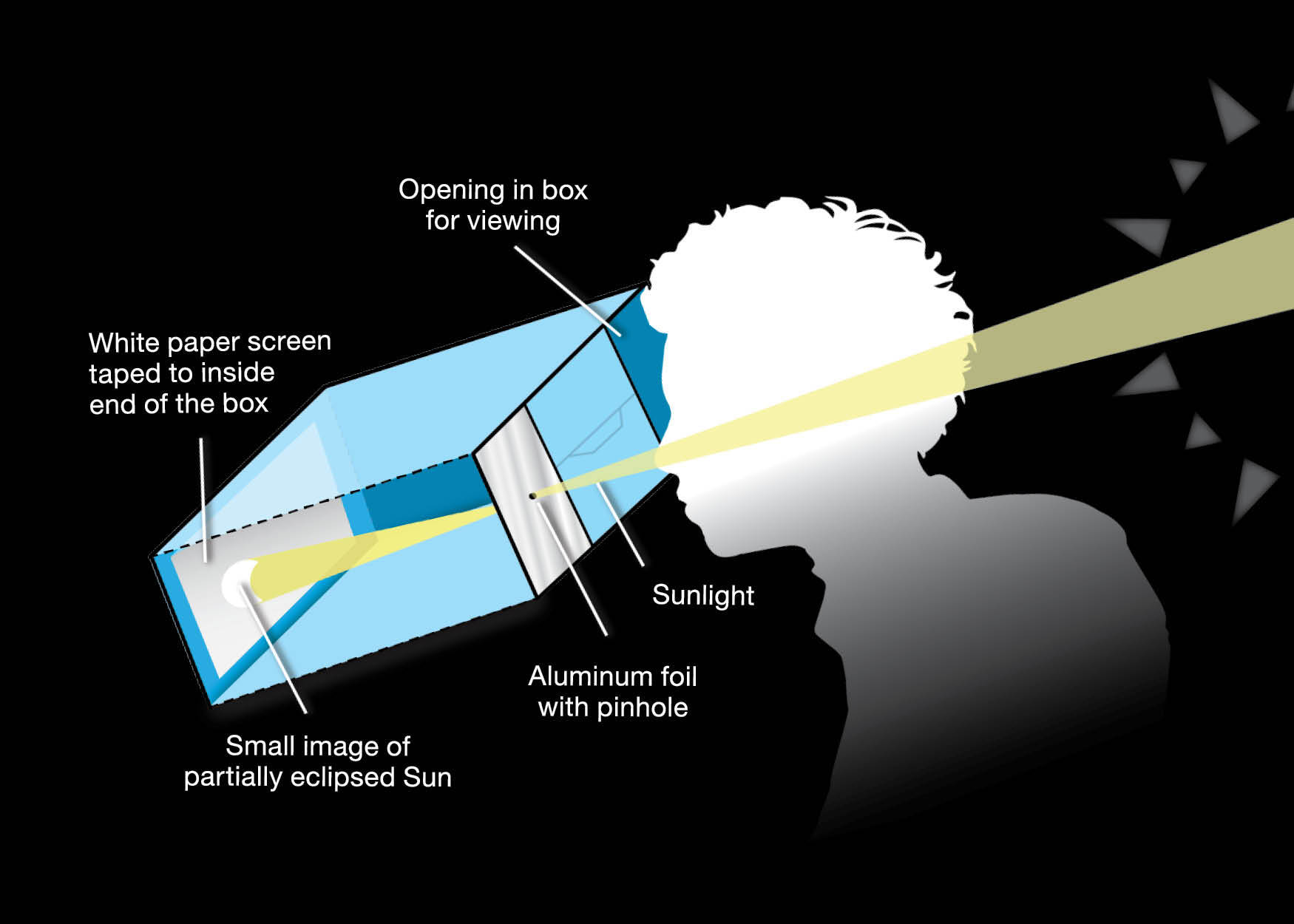 An illustration shows the silhouette of a person looking into a rectangular box through a hole cut into the end of a box. The Sun appears behind the person. Sunlight streams into the box through a small hole punched into a piece of aluminum foil taped over the Sun-facing end of the box, to the person's left, projecting a crescent Sun onto a white sheet of paper taped to the inside of the box.