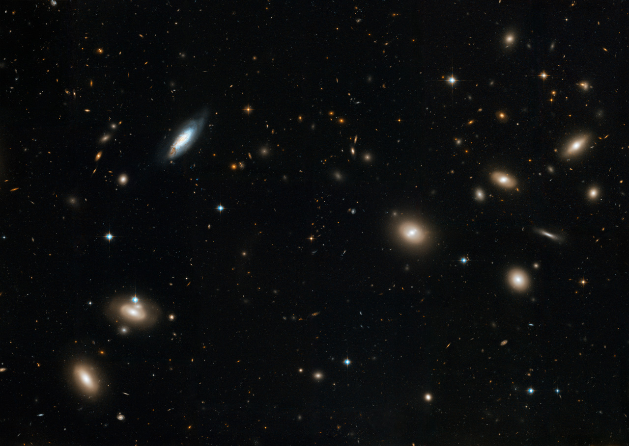 Coma Cluster