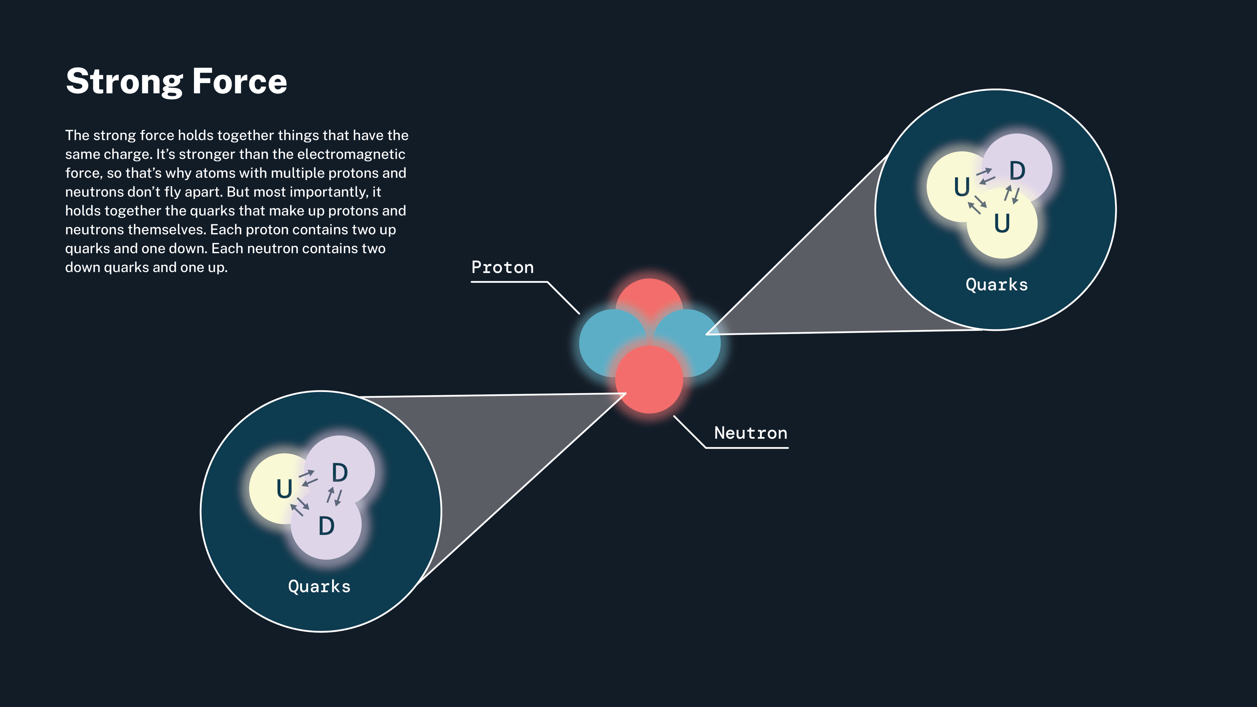 This infographic is done mostly in shades of blue. At the top left is the title: "Strong Force." Below that is a block of text that reads: "The strong force holds together things that have the same charge. It's stronger than the electromagnetic force, so that's why atoms with multiple protons and neutrons don't fly apart. But most importantly, it holds together the quarks that make up protons and neutrons themselves. Each proton contains two up quarks and one down. Each neutron contains two down quarks and one up." Below and to the right of the text is an illustration of an atomic nucleus made of two blue protons and two red neutrons. To the left is a pop out that points back to one of the neutrons. This pop out shows a cluster of one yellow up quark and two pink down quarks. Dual directional arrows connect each quark to the other two. To the left of the nuclei is a pop out that points back to one of the protons. This pop out shows a cluster of two yellow quarks and one pink down quark. Dual directional arrows connect each quark to the other two.