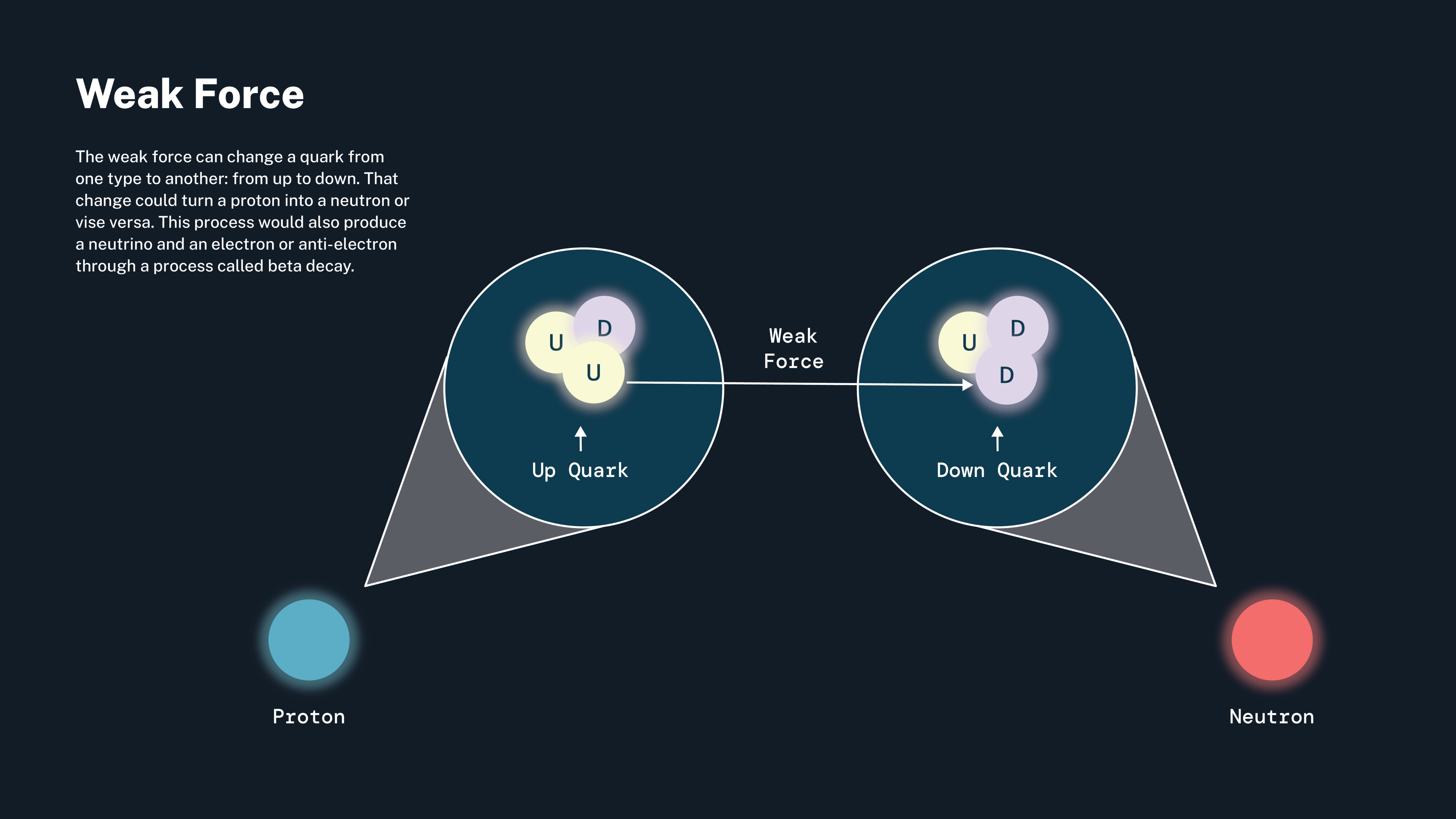 graphic demonstrating the Weak Force