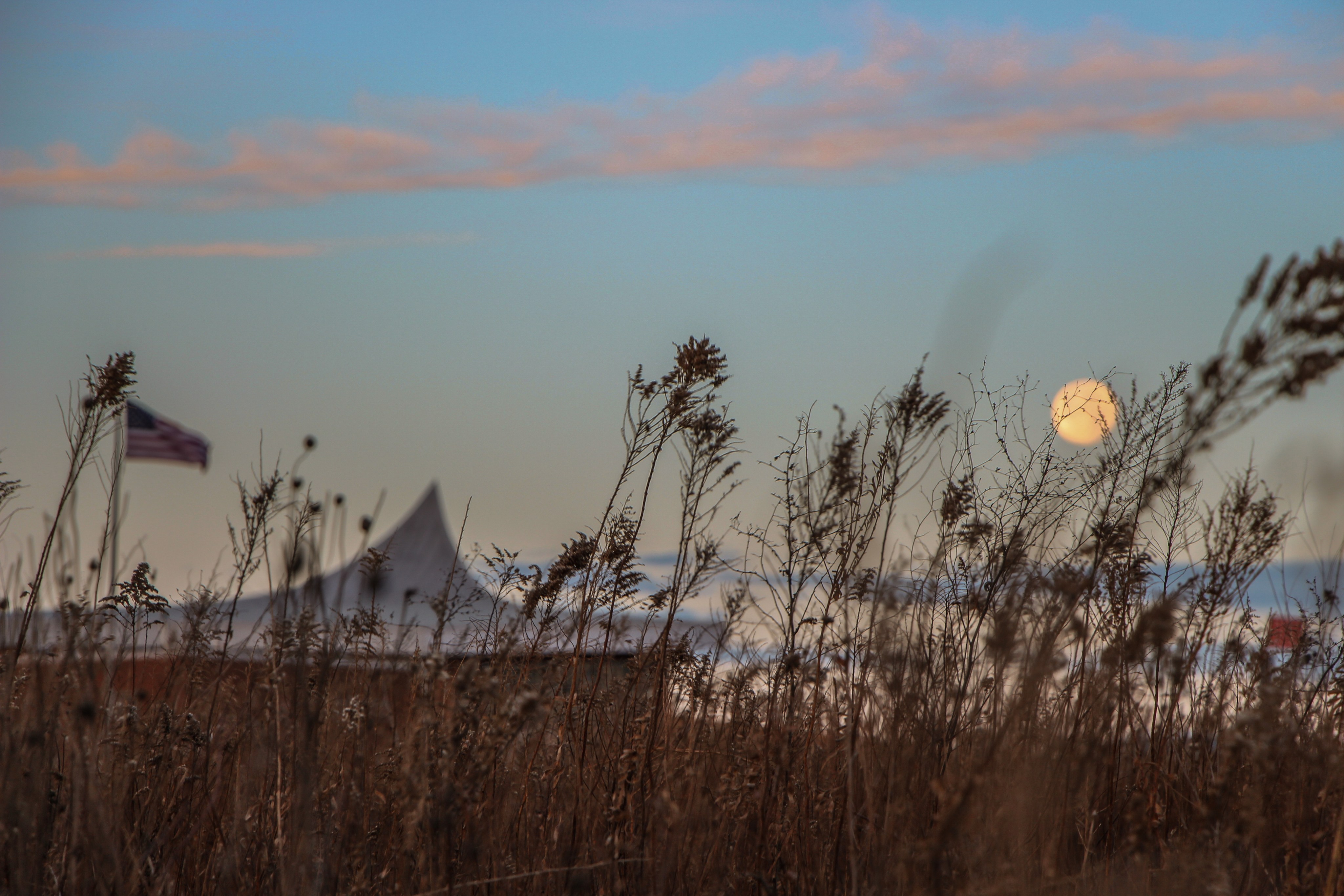 A full moon sets over tall grasses in a twilight blue sky illuminated by pink cloud bands.