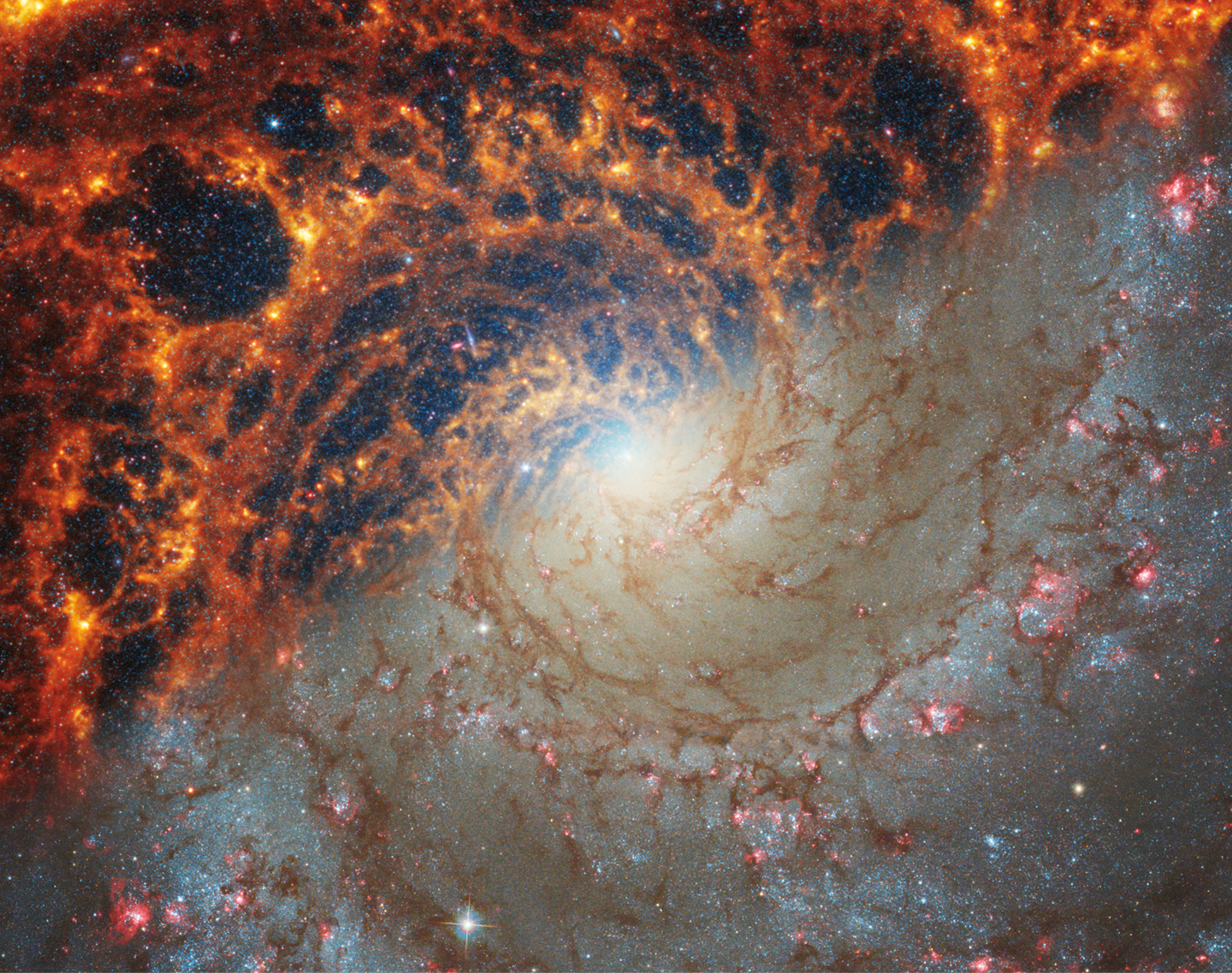 Webb y Hubble observan la galaxia espiral NGC 628.