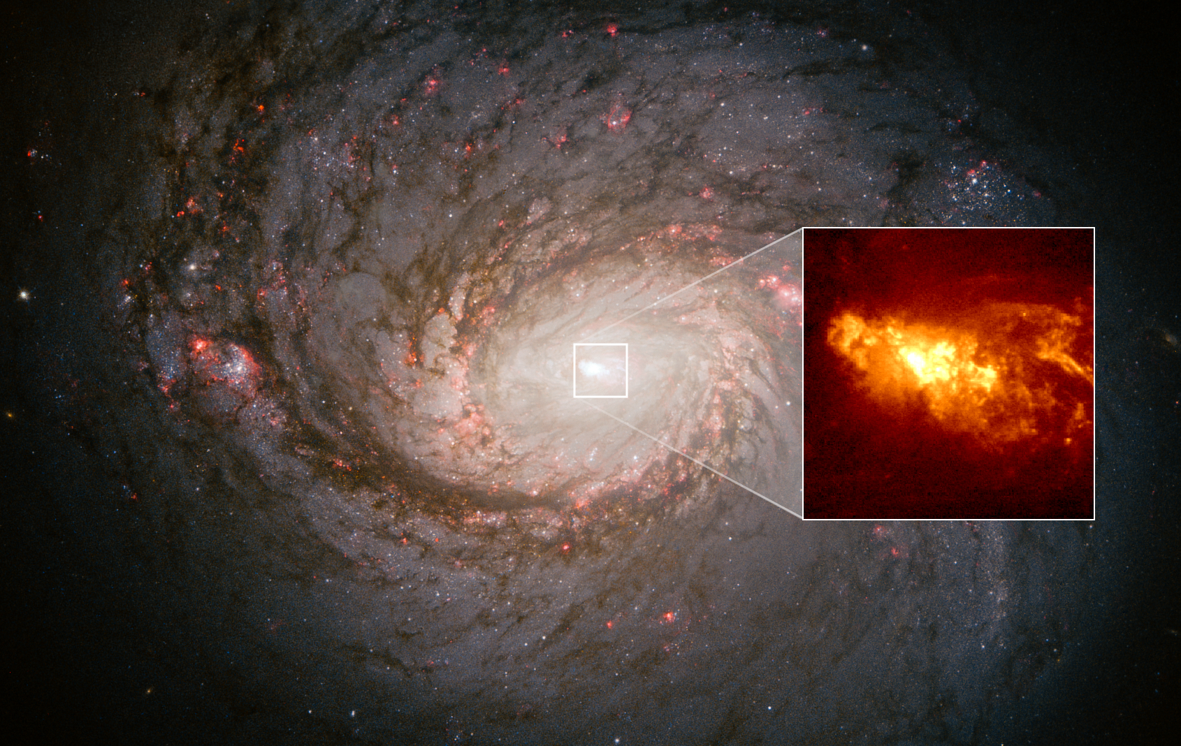 Spiral galaxy NGC 1069 fills the image, a majestic spiral of glowing gas and dark dust with long, winding arms. A callout box points to the center of the galaxy. Within the callout box are glowing, red and orange clouds of hydrogen gas.