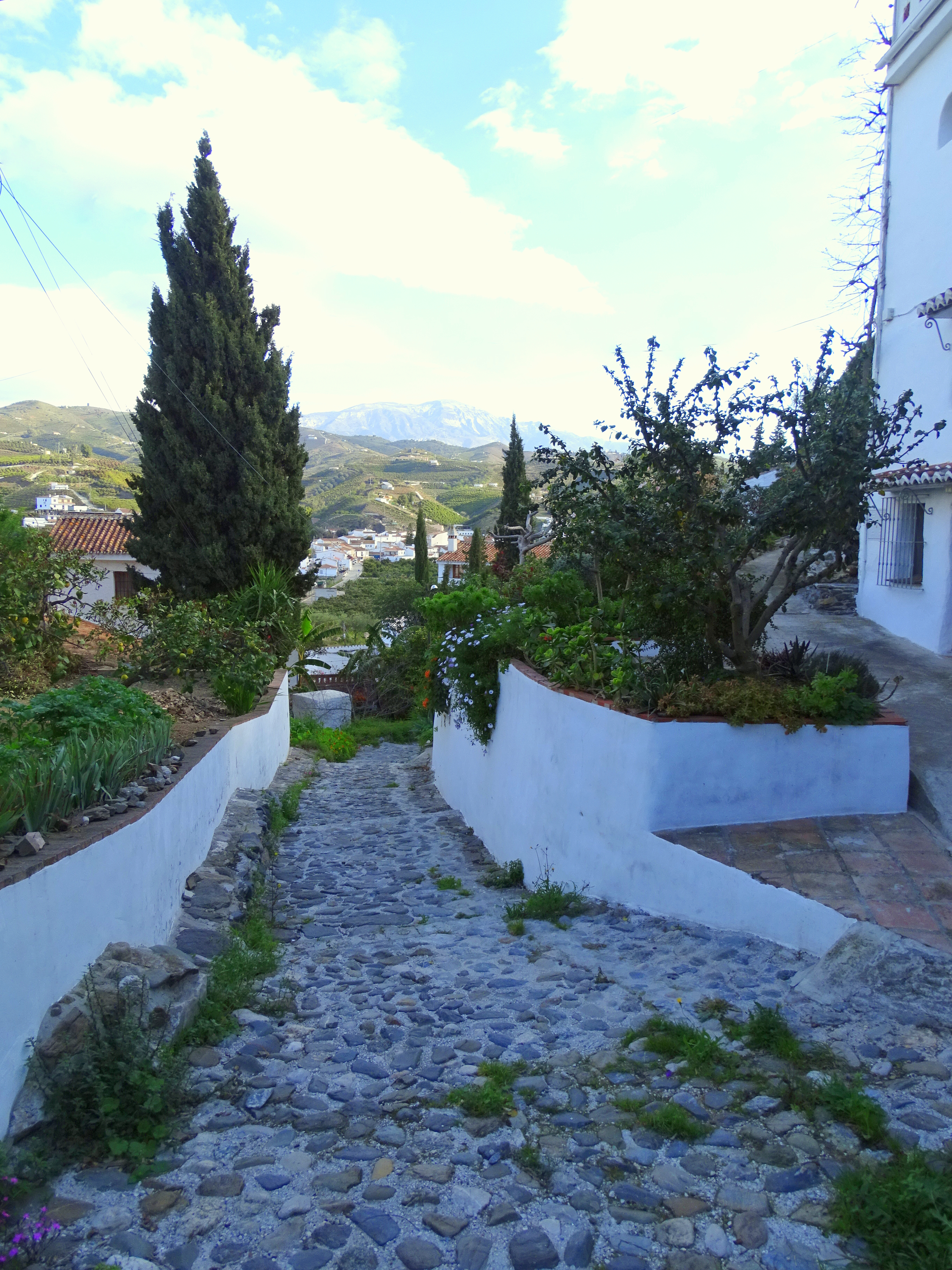 A weekend of goat-herding, donkey-walking and flamenco in the Axarquía