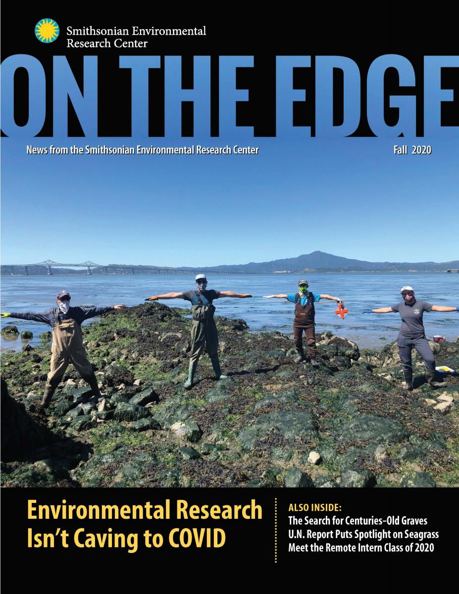 Front cover with four researchers on rocky shore in face masks