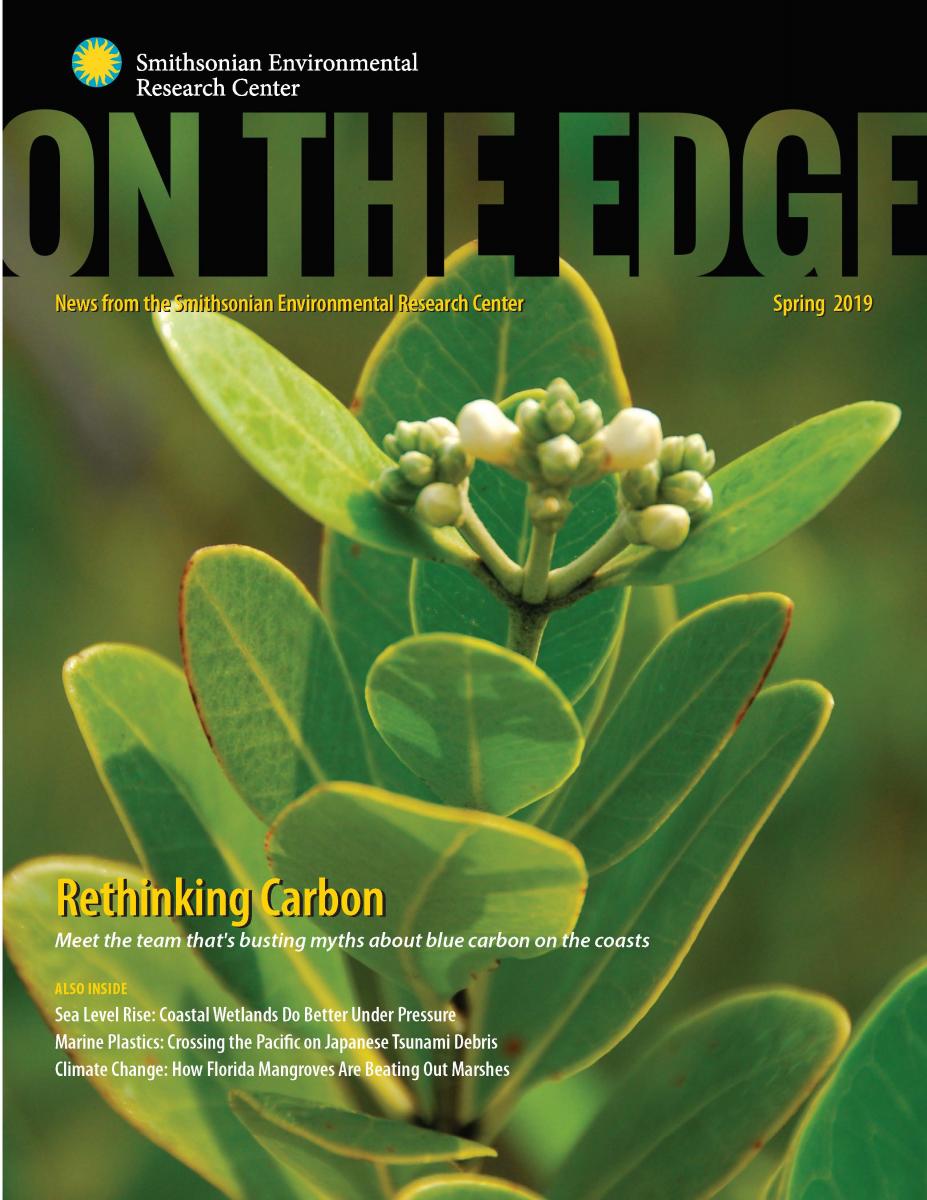 Front Cover of Spring 2019 On The Edge newsletter