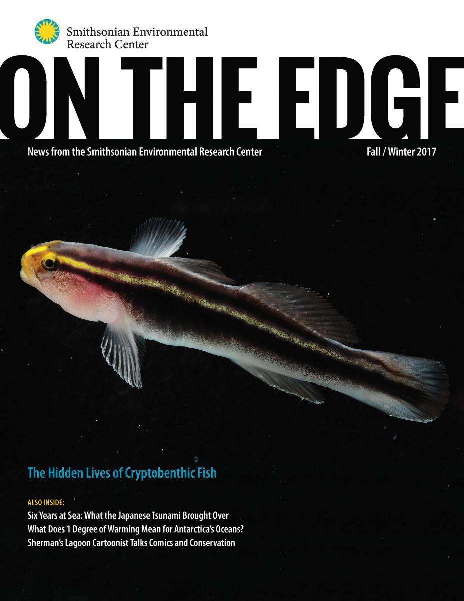 Front Cover of Fall 2017/Winter 2018 On The Edge Newsletter