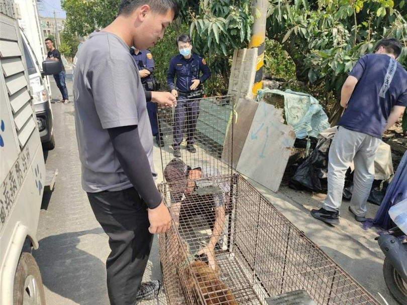 管制隊在六腳鄉處理犬隻追車咬人案件時，遭餵養人侯女阻攔與恐嚇。（圖／嘉義縣政府提供）