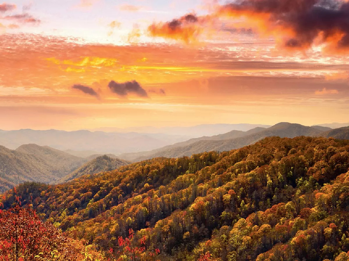 A walk through those woods: The gloriously lovely Appalachian forests and mountains stretch many miles over the US —and face utter destruction from mining interests pursuing the coal in their seams.