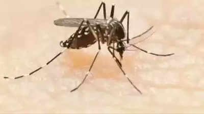 Ernakulam accounts for 33% of Kerala’s dengue cases