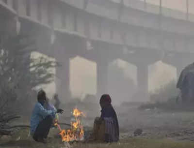 North India shivers as IMD warns of severe cold wave till January 15