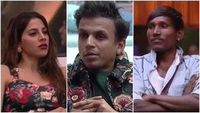 'Bigg Boss Marathi 5' Grand Finale: Date, Time, Finalists & Where to Watch Riteish Deshmukh's Show