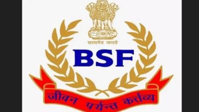 Meghalaya: BSF foils smuggling attempt, seizes clothing items worth Rs 12 lakh