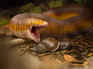 ​​Paleontologists discover the world’s largest worm lizard fossil