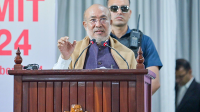 'Solution will take time': Manipur CM Biren Singh seeks patience amid crisis