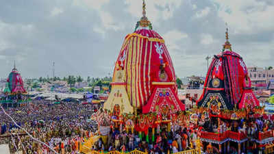 Advisory for NRIs: Beware of monkeys, thieves at Puri Jagannath Temple