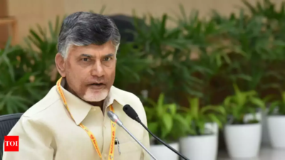 'One nation, one poll' not before 2029, says Chandrababu Naidu