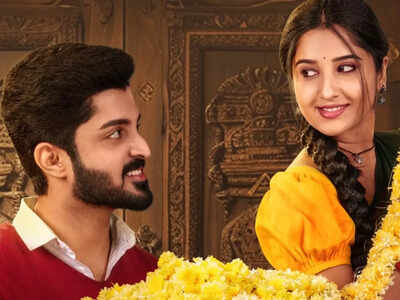 Meghana Lokesh and Asish Chakravarthy starrer new daily soap 'Chamanthi' to premiere on January 1