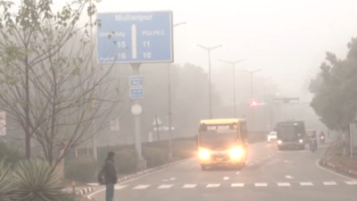 Dense fog, cold wave to grip Punjab and Haryana for two more days