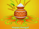 Happy Pongal 2025: Images, Quotes, Wishes, Messages, Cards, Greetings, Pictures and GIFs