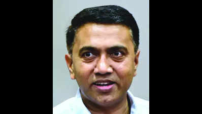 CM Pramod Sawant: With Rs 312 crore in loans, Goa SHGs establish 480 brands