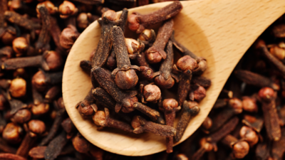 What happens to your body if you chew a clove daily