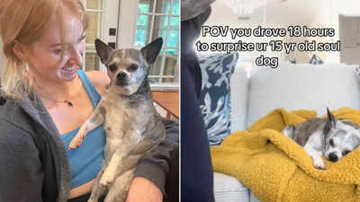 18-hours-drive to surprise her 15-year-old dog! Woman shares the story of their ‘soul’ connection!