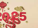 Chinese New Year 2025: Traditions, Snake Year Celebration Calendar