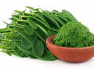 
Moringa benefits: Get healthy skin and strong hair with Moringa chutney; recipe inside
