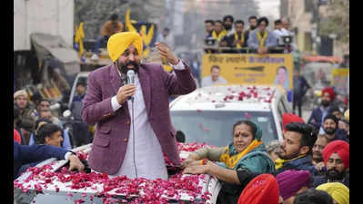 Dehi polls: Mann asks people to call relatives in Punjab to know about AAP’s work