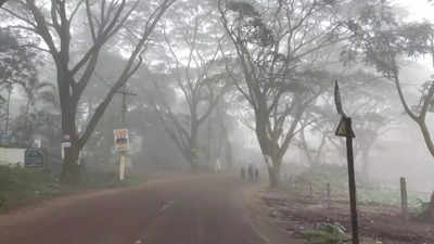 Andhra Pradesh weather update: IMD predicts above-normal temperatures for February