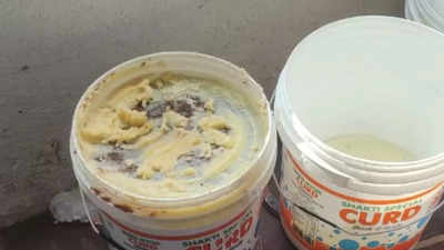 Mosquitoes in ghee and dead lizard found in dairy items in this city