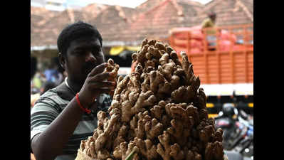 Big fall in ginger prices in Mysuru leave growers in distress