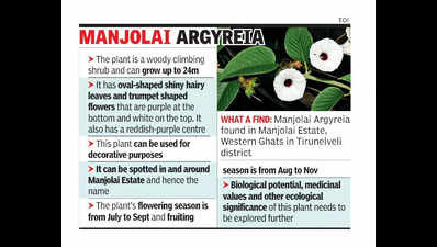 Researchers discoverplantspecies at Manjolai Estate