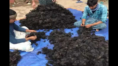 ‘Govt intervention sought to combat hair smuggling’