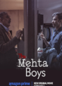 The Mehta Boys