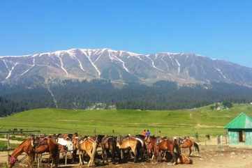 Gulmarg