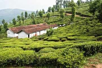 Ooty