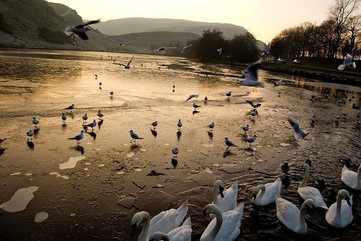 Holyrood Park